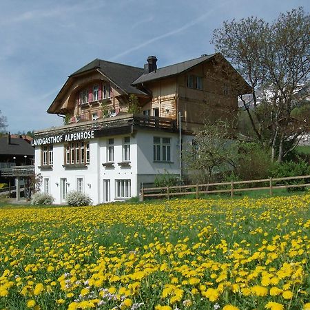 Hotel Alpenrose Beim Ballenberg Hofstetten bei Brienz Kültér fotó